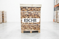 Brennholz Palette – Esche – 30/33 cm – kammergetrocknet – 1 RM