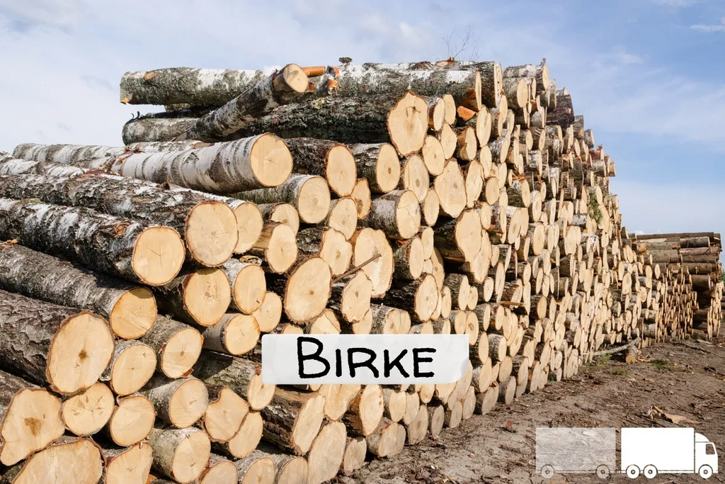 Stammholz Birke – LKW-Ladung flexibel (20 RM oder 40 RM)