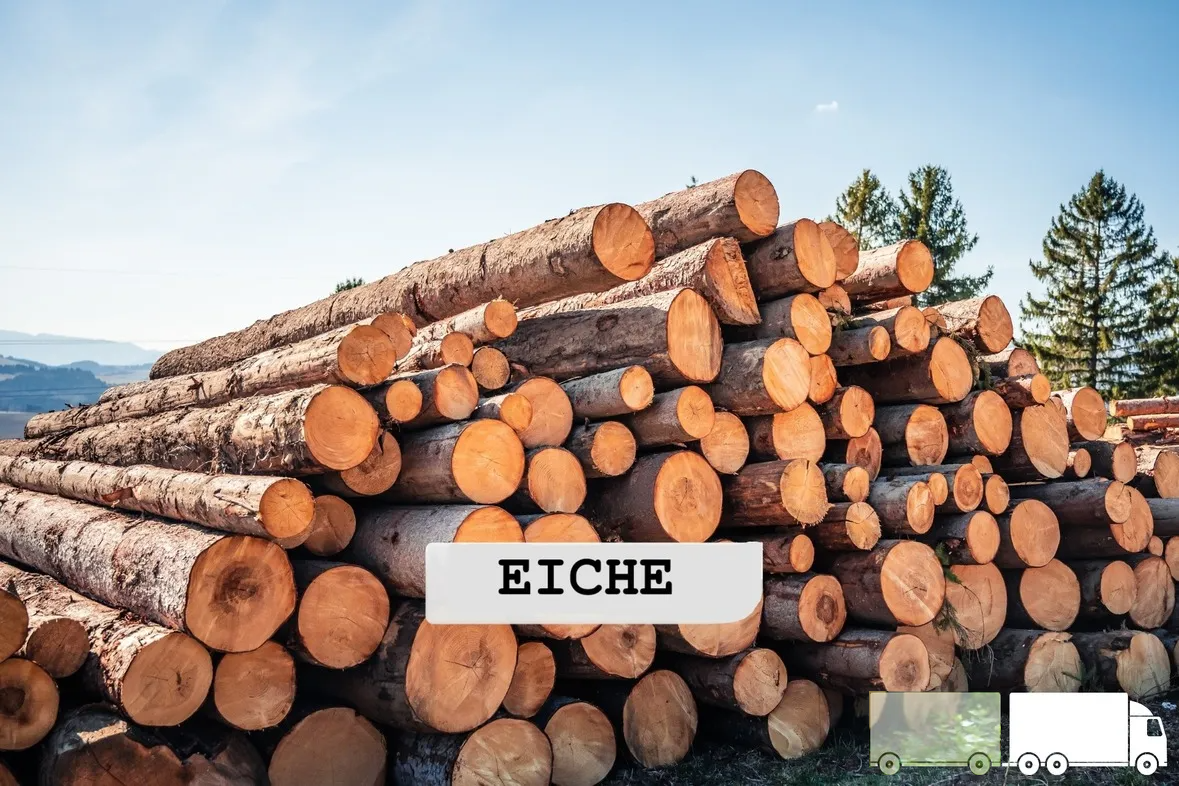 Eichen-Stammholz – LKW-Ladung | 20–40 RM