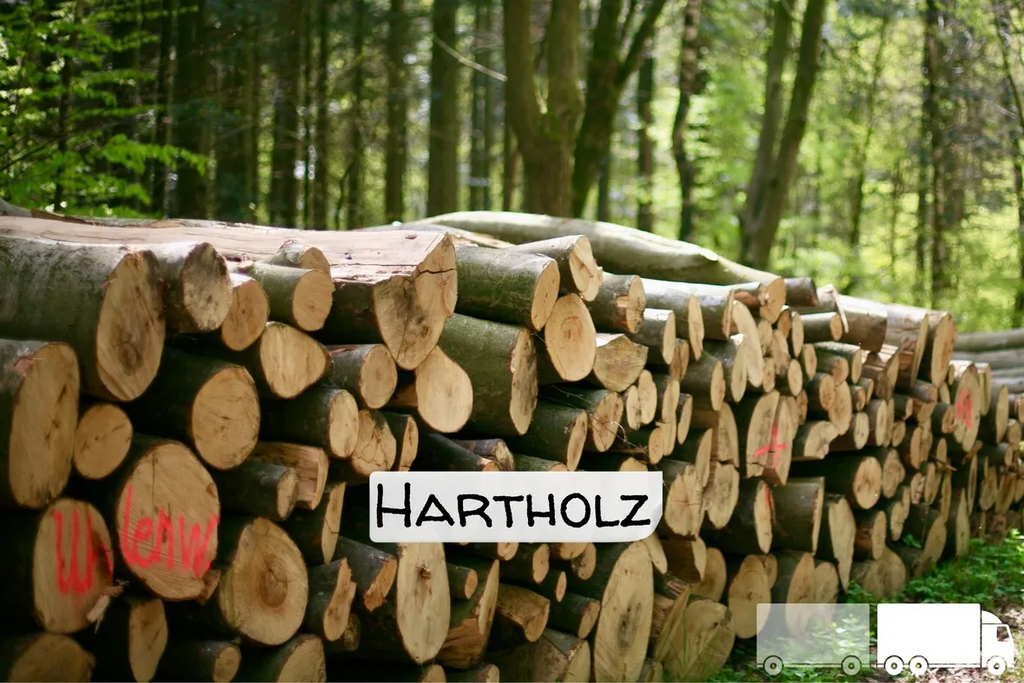 Stammholz Hartholz-Laubholz – LKW-Ladung (20 – 40 RM)