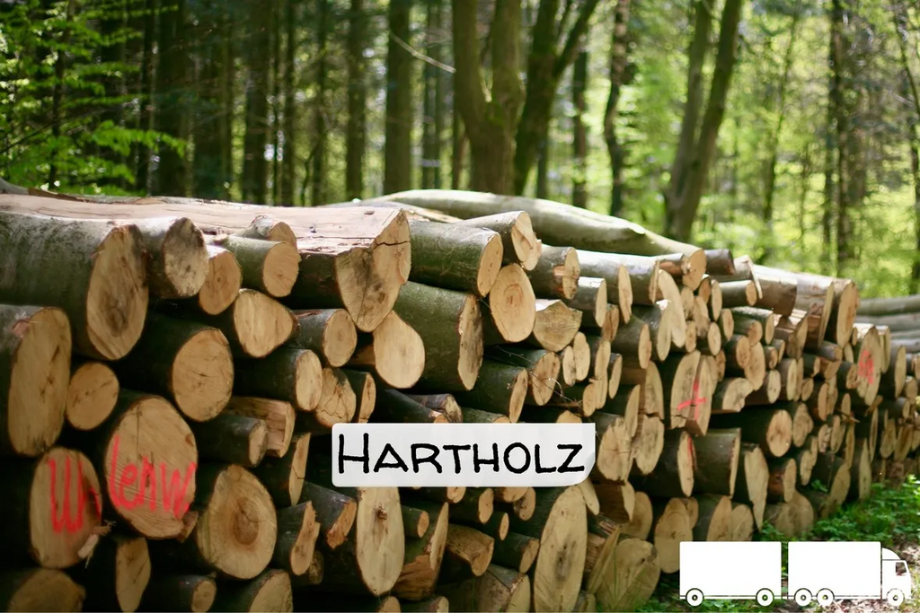 Stammholz Hartholz-Laubholz – LKW-Ladung (20 – 40 RM)