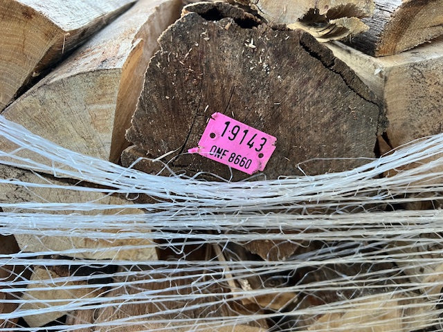 Trockenes Eichen-Brennholz 30 cm – Zuverlässige Wärme und komfortables Heizen