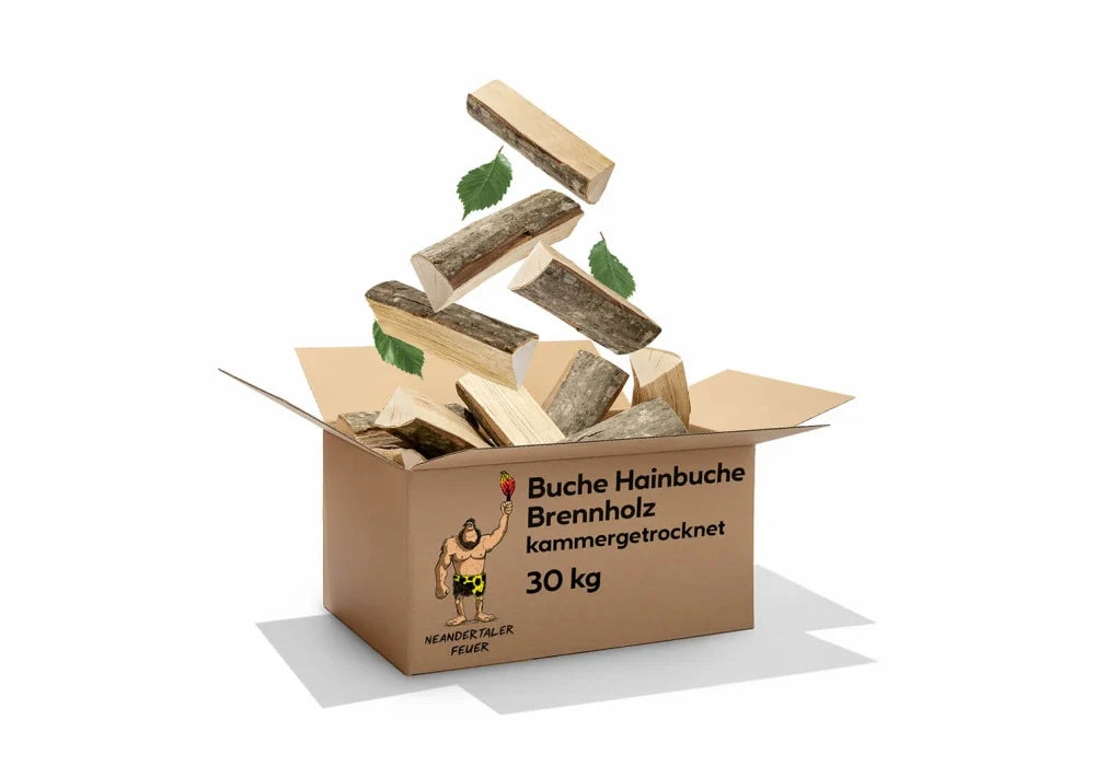 Brennholz Buche &amp; Hainbuche 150 kg – Hochwertige Wärme für Ihr Zuhause