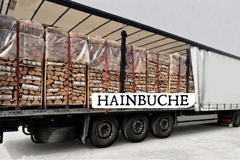 LKW-Ladung Brennholz – Hainbuche – 30/33 cm – kammergetrocknet – 2 RM Paletten